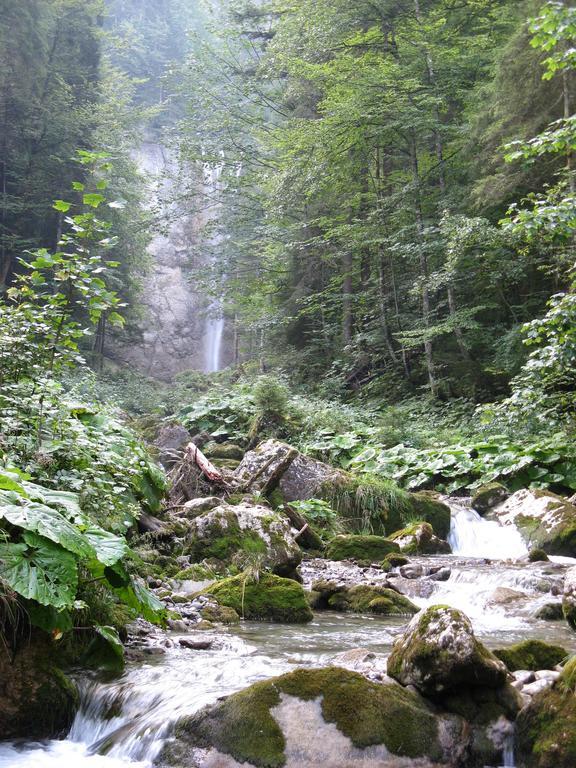 Отель Waldgasthaus Lehmen Вайсбад Экстерьер фото